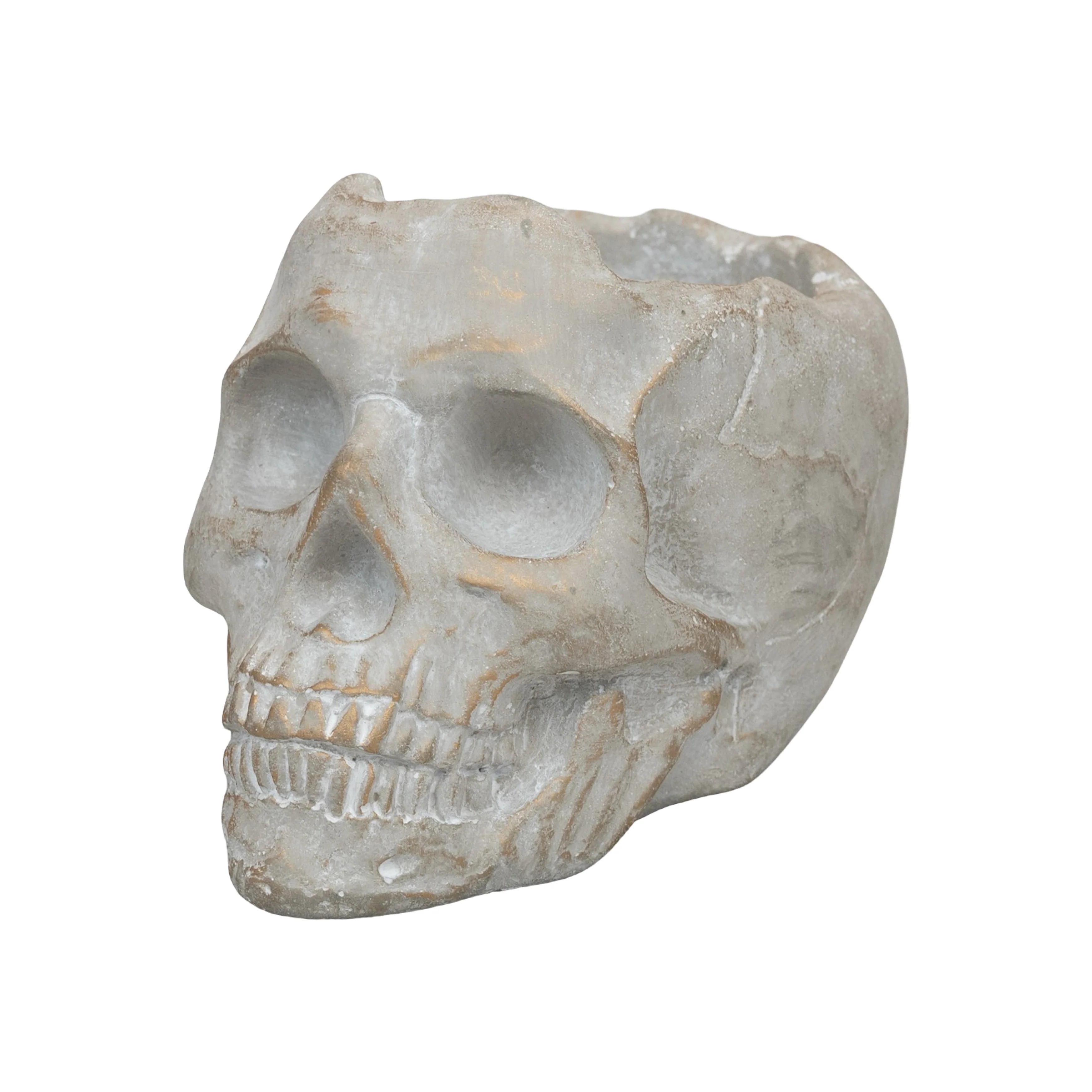 Golden Orchard | Cement Skull