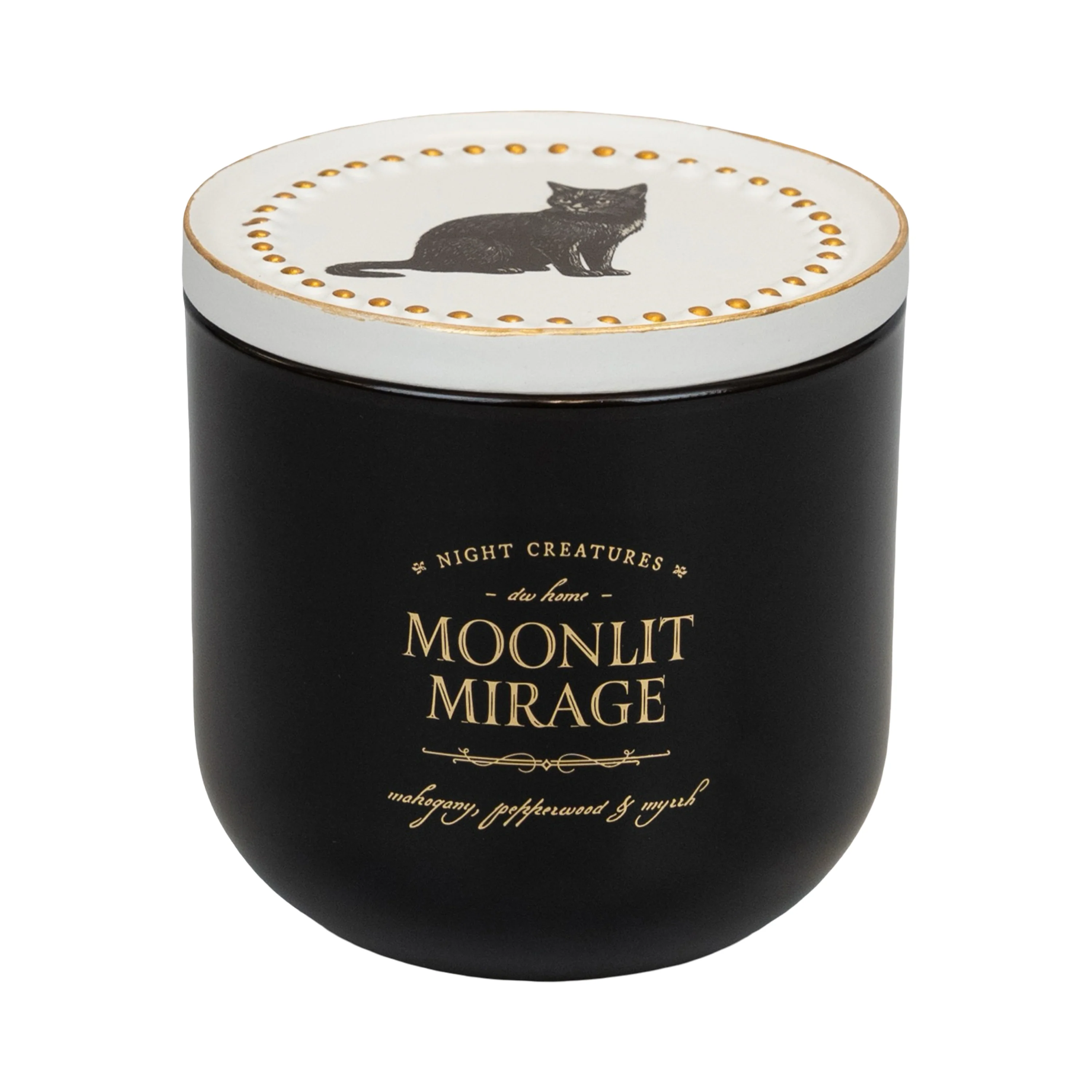 Moonlit Mirage