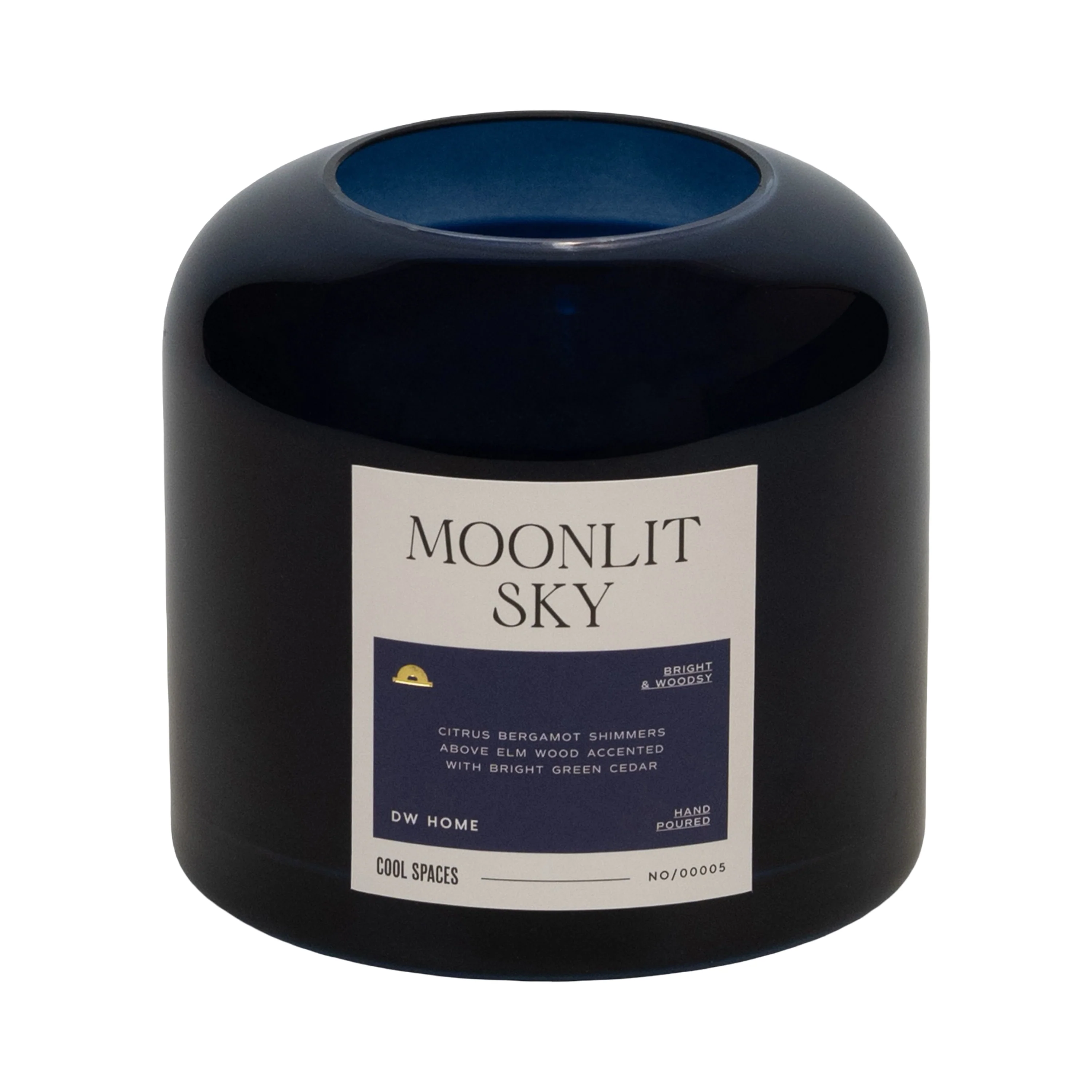 Moonlit Sky